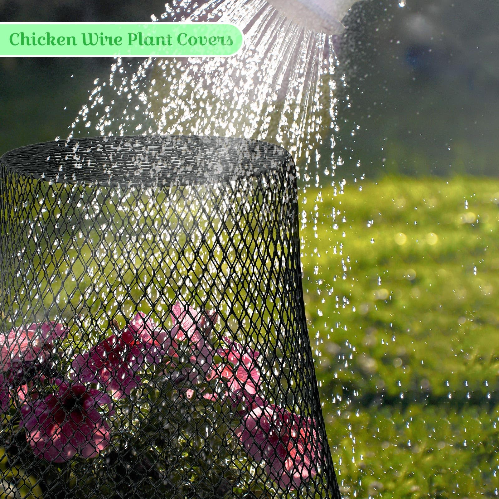 Therwen outdoor garden cloche keeps vegetables safe during transplanting and growth.