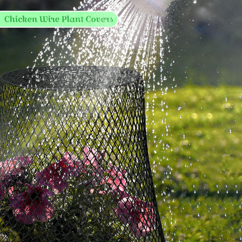Therwen outdoor garden cloche keeps vegetables safe during transplanting and growth.