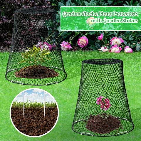 Therwen potted plant cloche protective cover shields indoor plants while maintaining light and air.