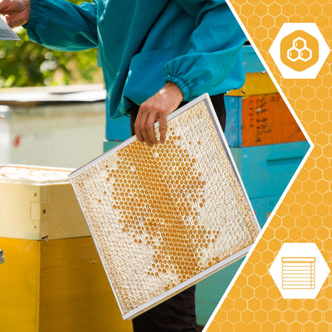 Therwen queen excluder packaging includes four pieces ready for beekeepers.