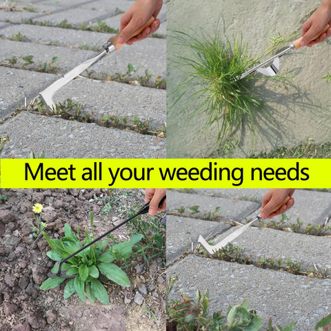Theuzi four-teeth rooting weeder digs and uproots stubborn weeds