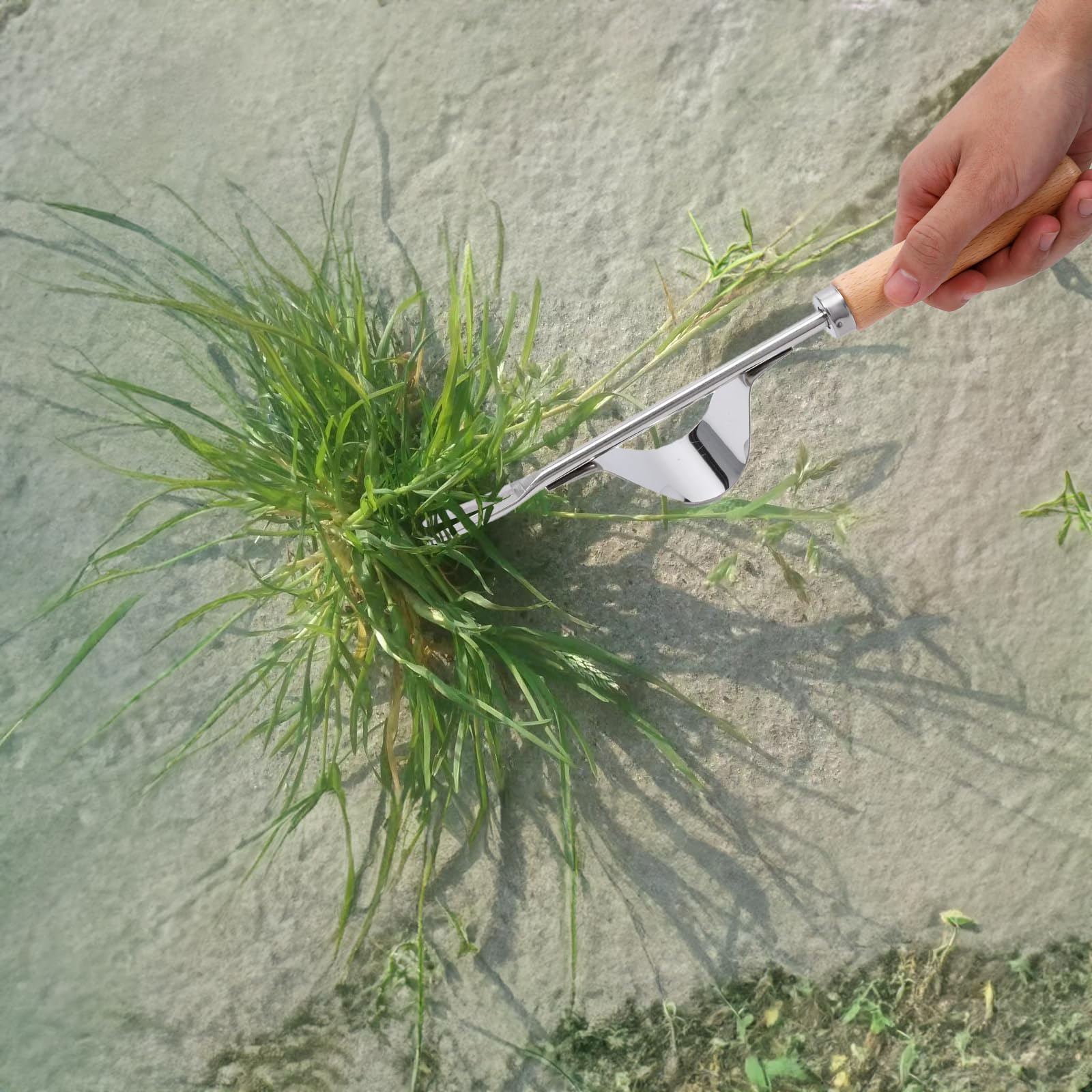 Theuzi stainless steel wood-handle weeder resists wear during long sessions