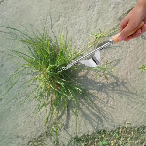 Theuzi stainless steel wood-handle weeder resists wear during long sessions