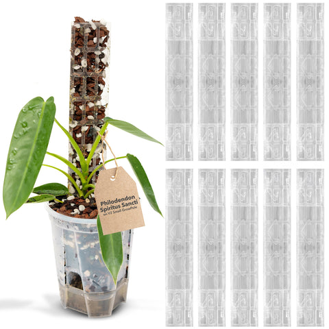 THICCLY GrowPole small front-opening clear moss pole supports humidity-friendly plants