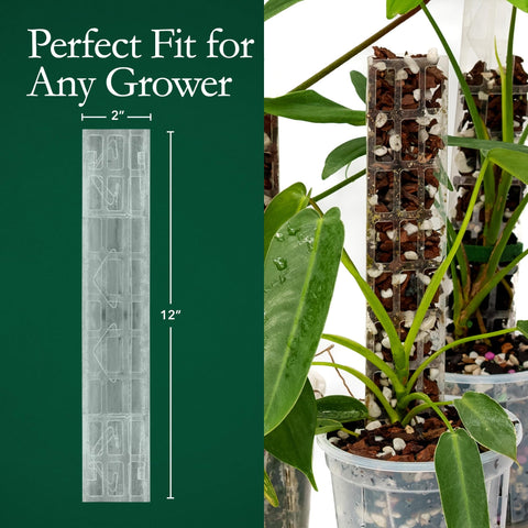 THICCLY GrowPole used with Monstera shows climbing plant growth