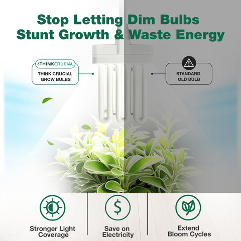 Think Crucial bulbs support compact indoor herb and leafy greens setups.