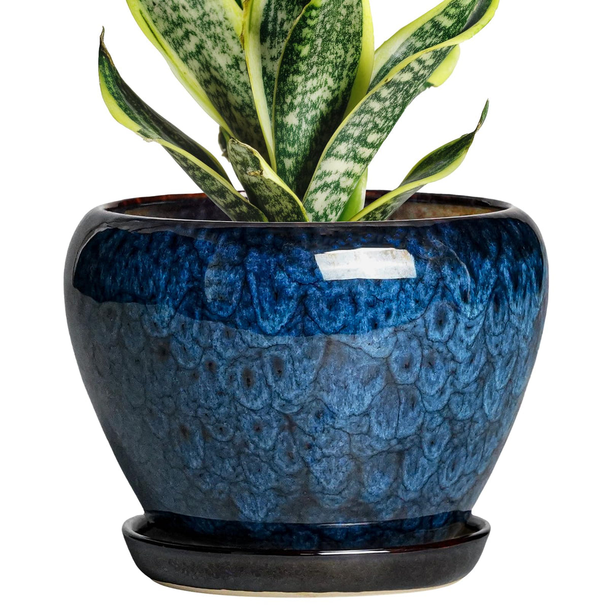 Thirtypot 6-inch plant pot with blue glaze and drainage hole, ideal for indoor plants.
