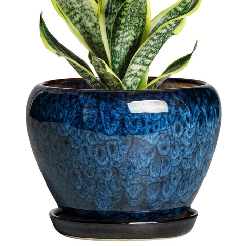 Thirtypot 6-inch plant pot with blue glaze and drainage hole, ideal for indoor plants.