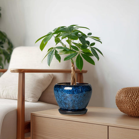 Thirtypot blue ceramic pot with drainage net to prevent soil overflow.