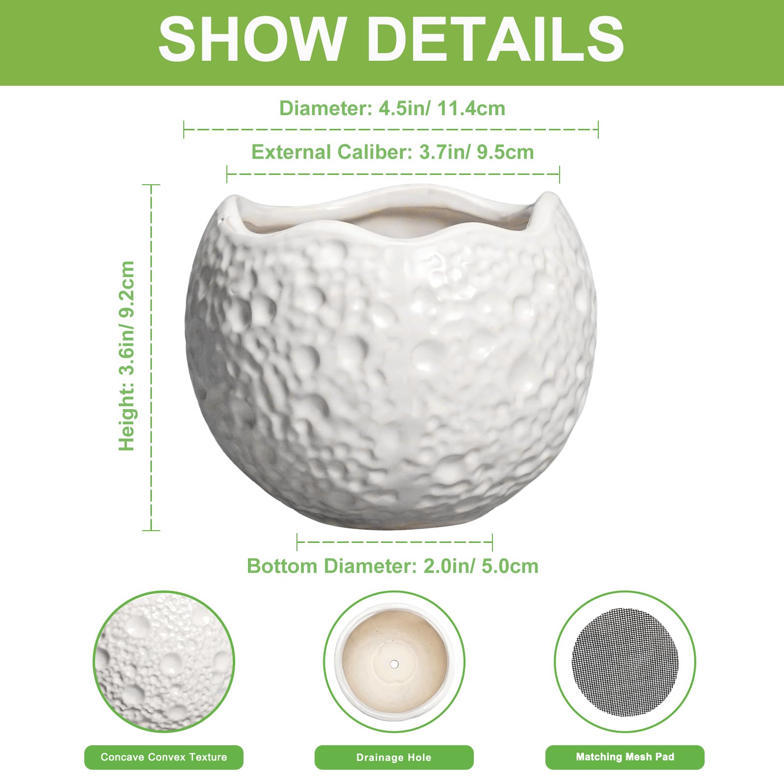 Thirtypot ceramic moon design pot adds decorative texture to indoor plants