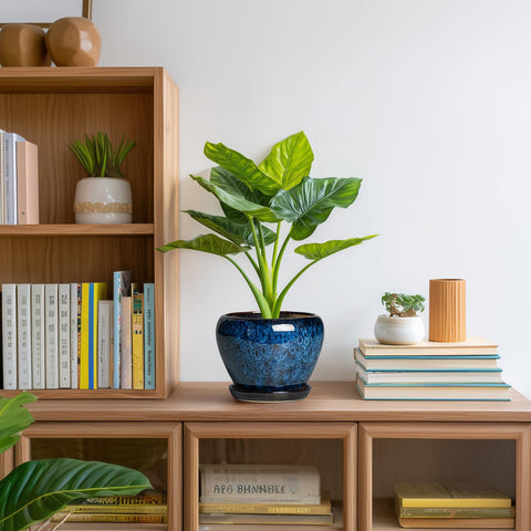 Thirtypot decorative blue glaze flower pot for cozy spaces.