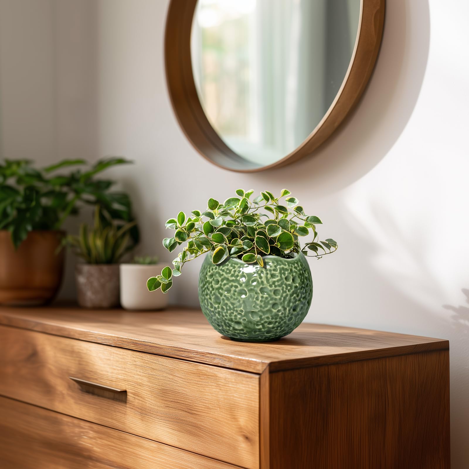 Thirtypot round planter complements desks and living spaces with minimalist charm