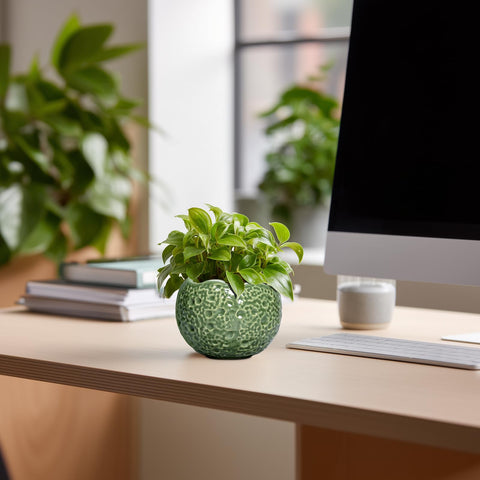 Thirtypot green glazed round planter adds modern style and drainage