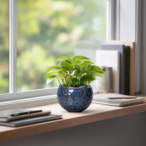 Thirtypot indoor outdoor plant pot for small plants.