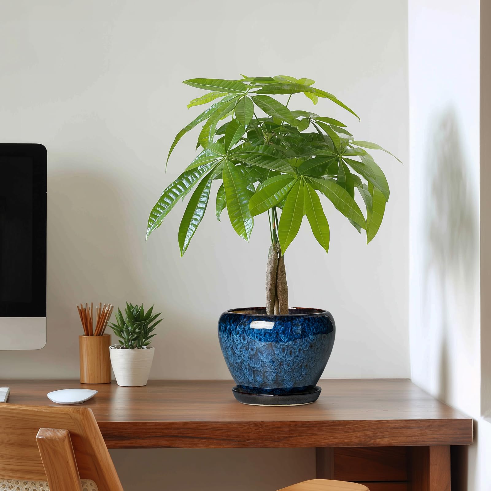 Thirtypot medium blue glazed pot with saucer enhances home decor.