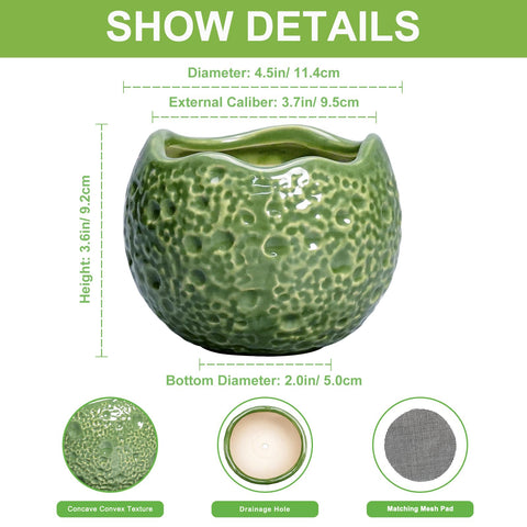 Thirtypot moon-shaped ceramic planter with textured surface elevates decor