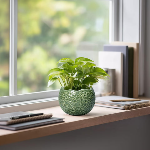 Thirtypot small planter ideal for succulents, herbs, and compact greenery