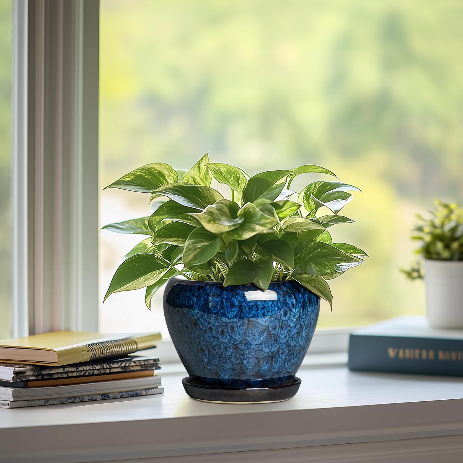 Thirtypot succulent pot in blue glaze for stylish greens.