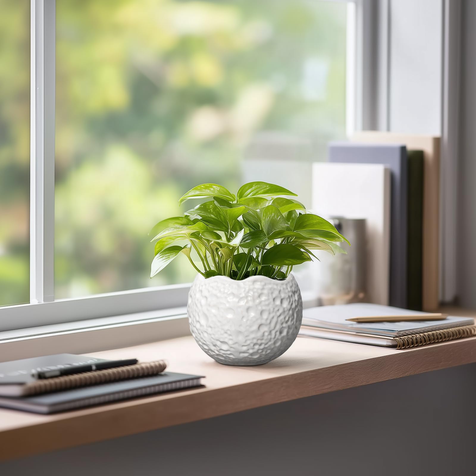 Thirtypot succulent pot in white ceramic for small plants