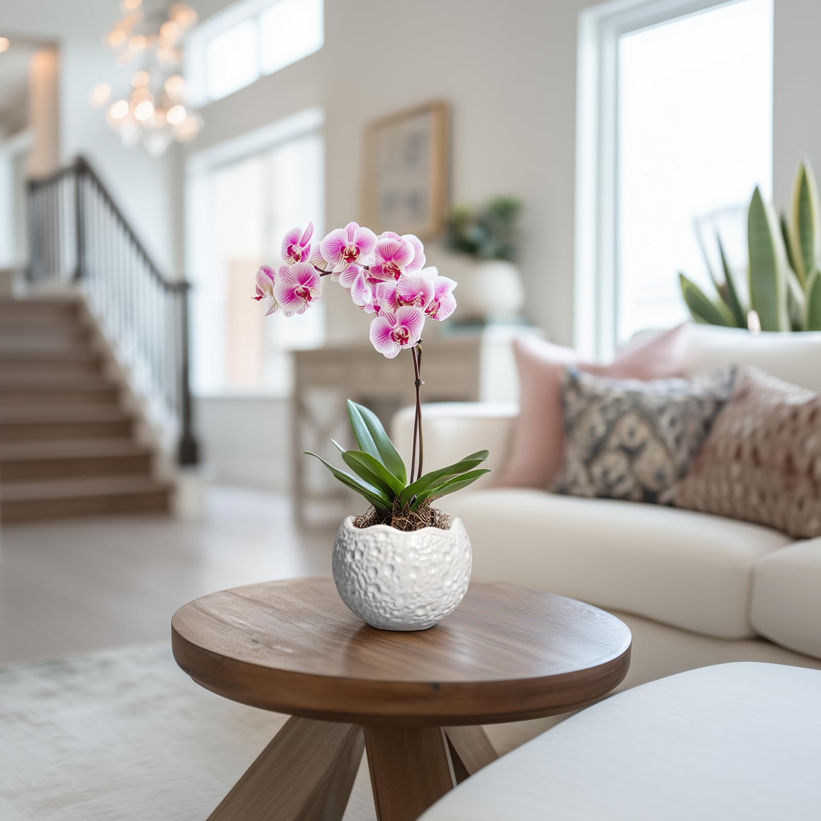 Thirtypot white round plant pot suitable for desks and shelves