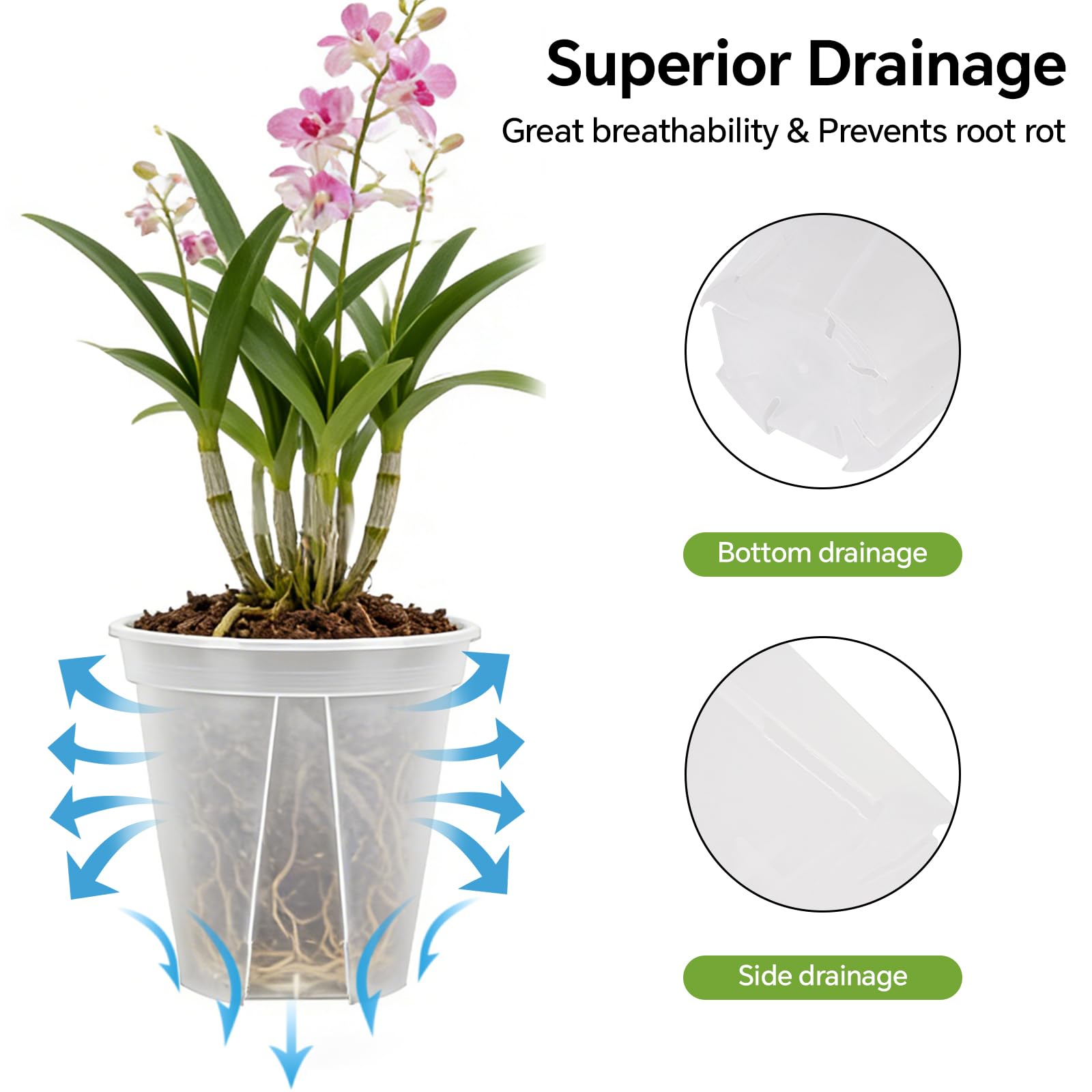 THMFHMW 12 inch clear pot provides space for mature bulbs and herbs.