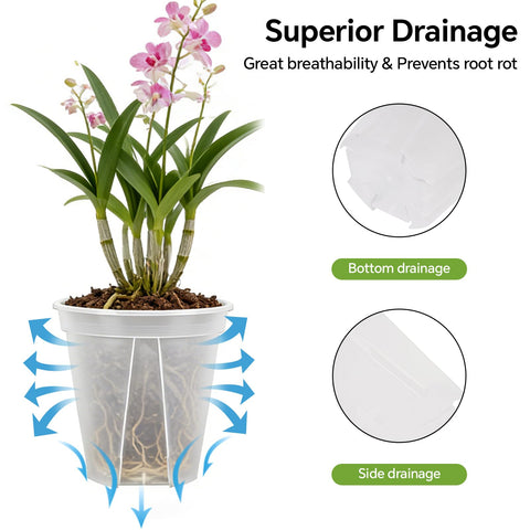THMFHMW 12 inch clear pot provides space for mature bulbs and herbs.