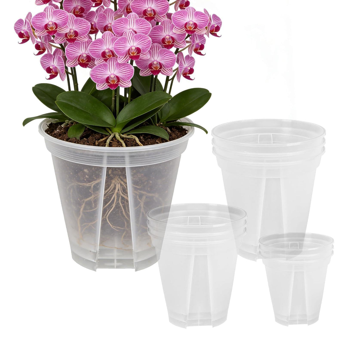 THMFHMW 6 inch clear nursery pot with drainage holes promotes healthy root growth indoors.