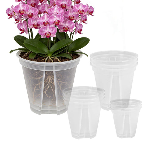 THMFHMW 6 inch clear nursery pot with drainage holes promotes healthy root growth indoors.