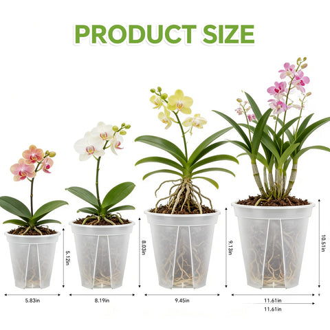 THMFHMW 8 inch clear nursery pot ideal for medium houseplants and bulbs at home.