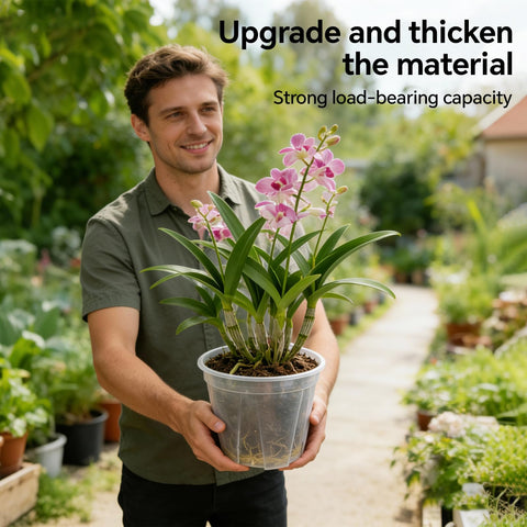 THMFHMW clear pot with multiple drainage holes supports consistent watering.