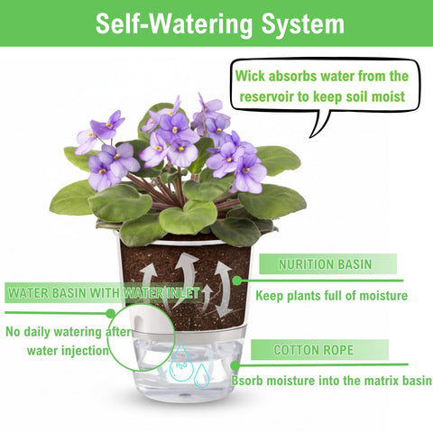 Thorkok indoor planter suitable for succulents and herbs in small spaces.