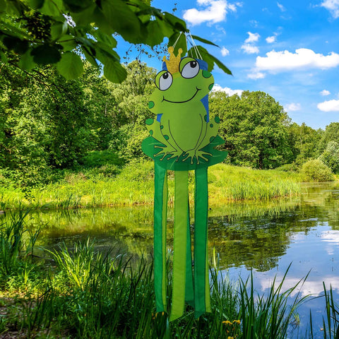 THQZLH playful frog windsock brightening a garden path