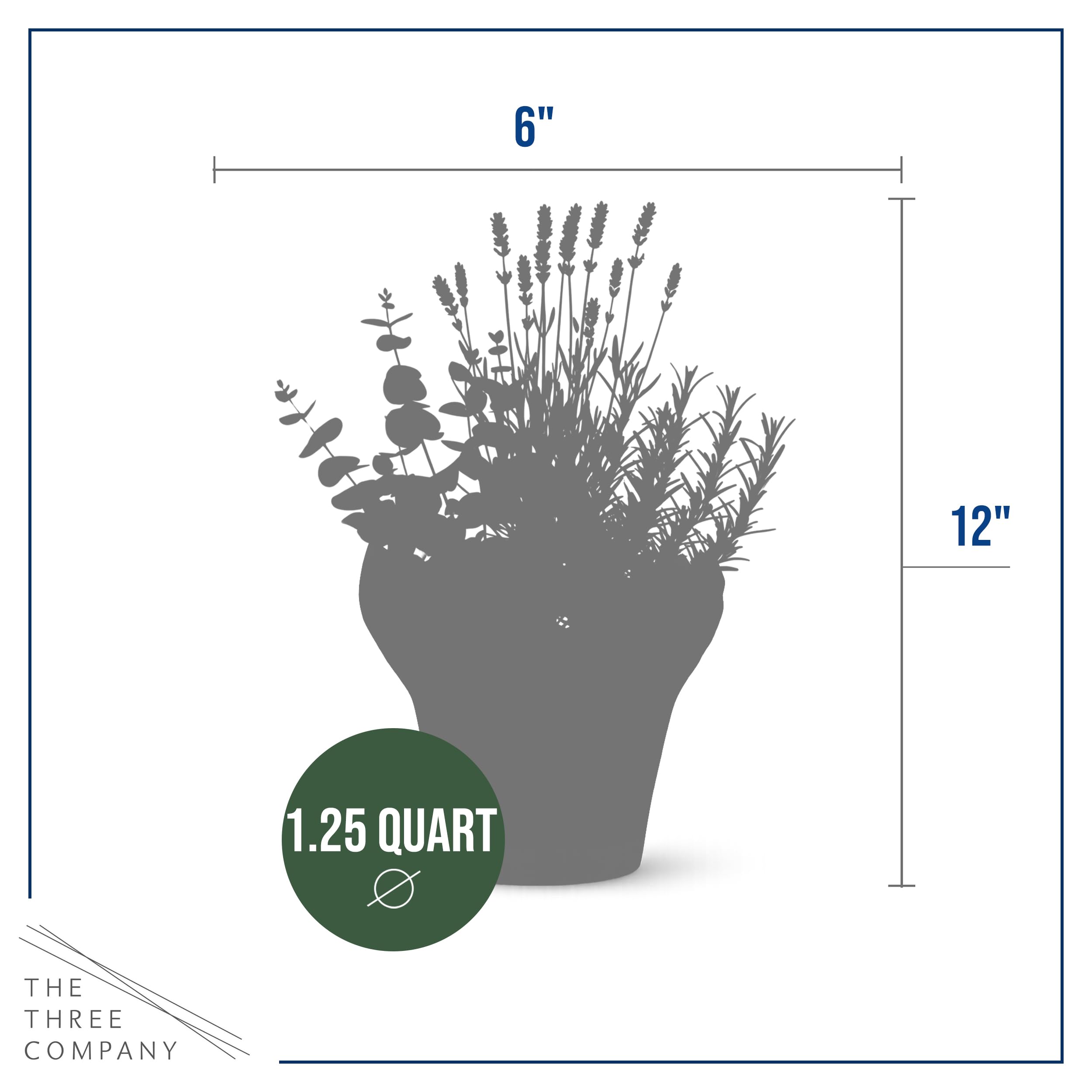 The Three Company eucalyptus plant in a deco cover offers a crisp, refreshing indoor scent.