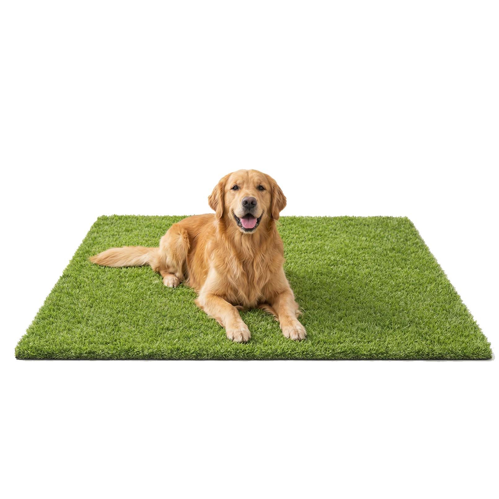 Three Oranges artificial grass mat 47x31 inches used indoors as a pet-friendly, easy-cleaning surface.