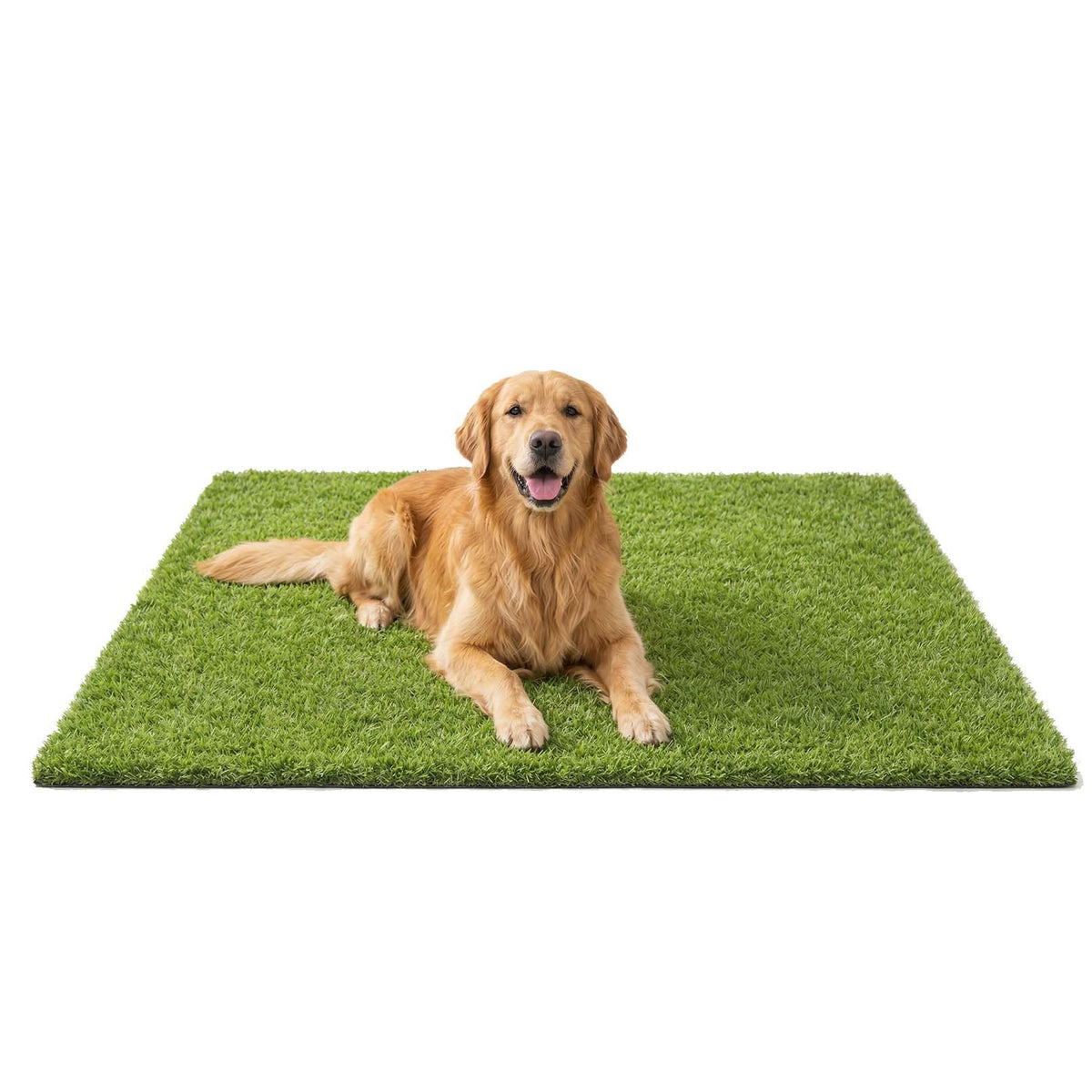 Three Oranges artificial grass mat 47x31 inches used indoors as a pet-friendly, easy-cleaning surface.
