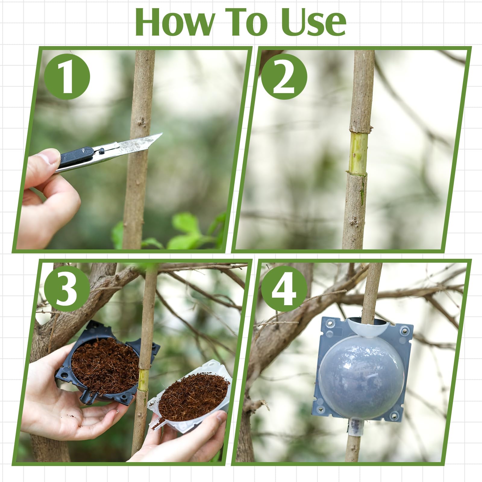 Threehoney rooting box boosting humidity for rooting