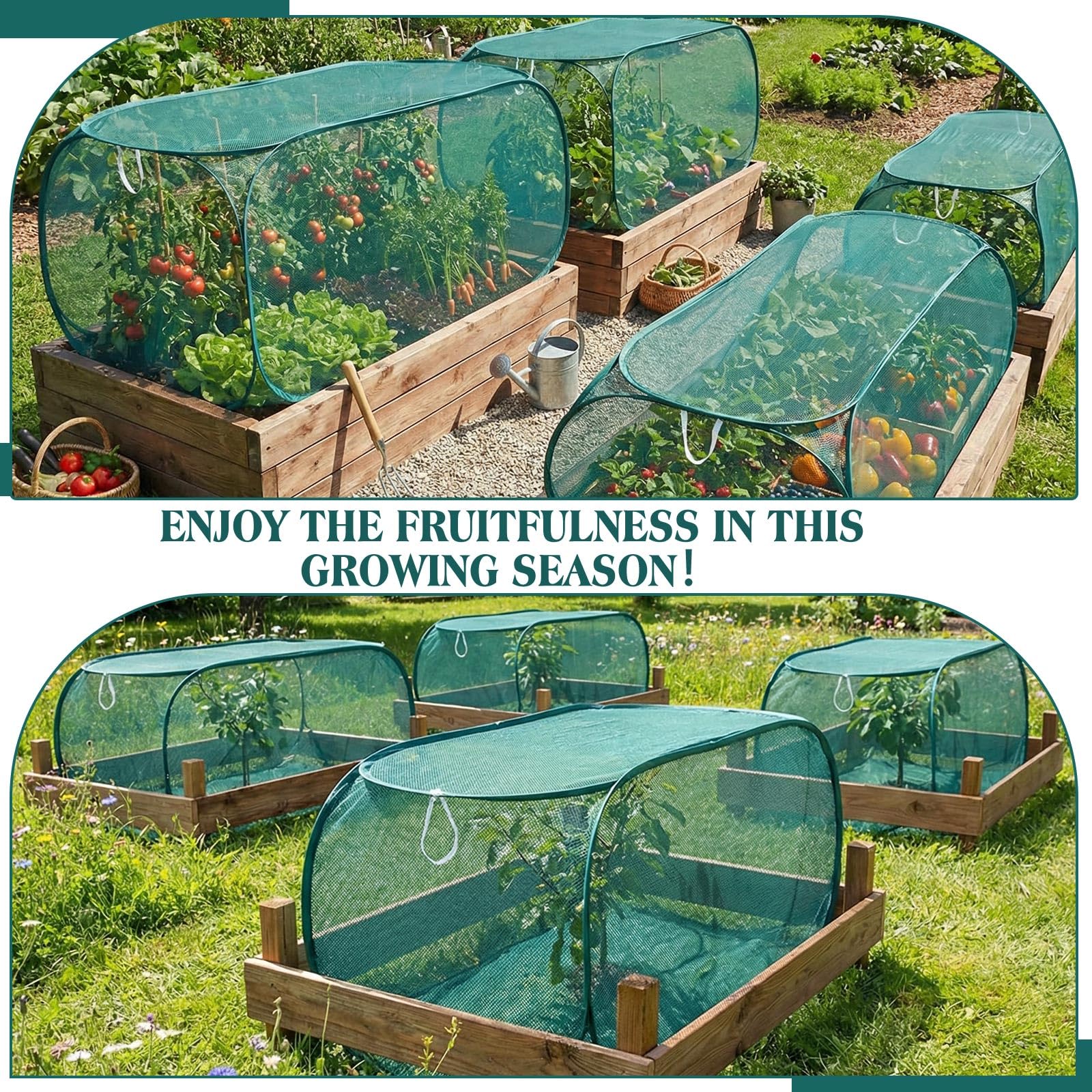 Threehoney seedling protection cage keeps young plants safe from pests and birds.
