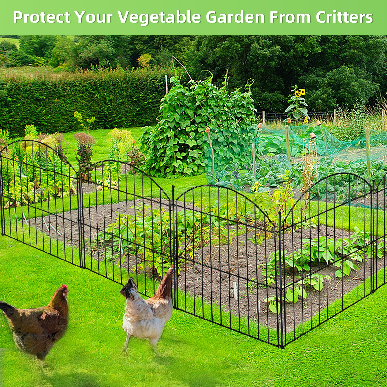 Thrivinest elegant decorative fencing adds garden structure without overpowering plants.