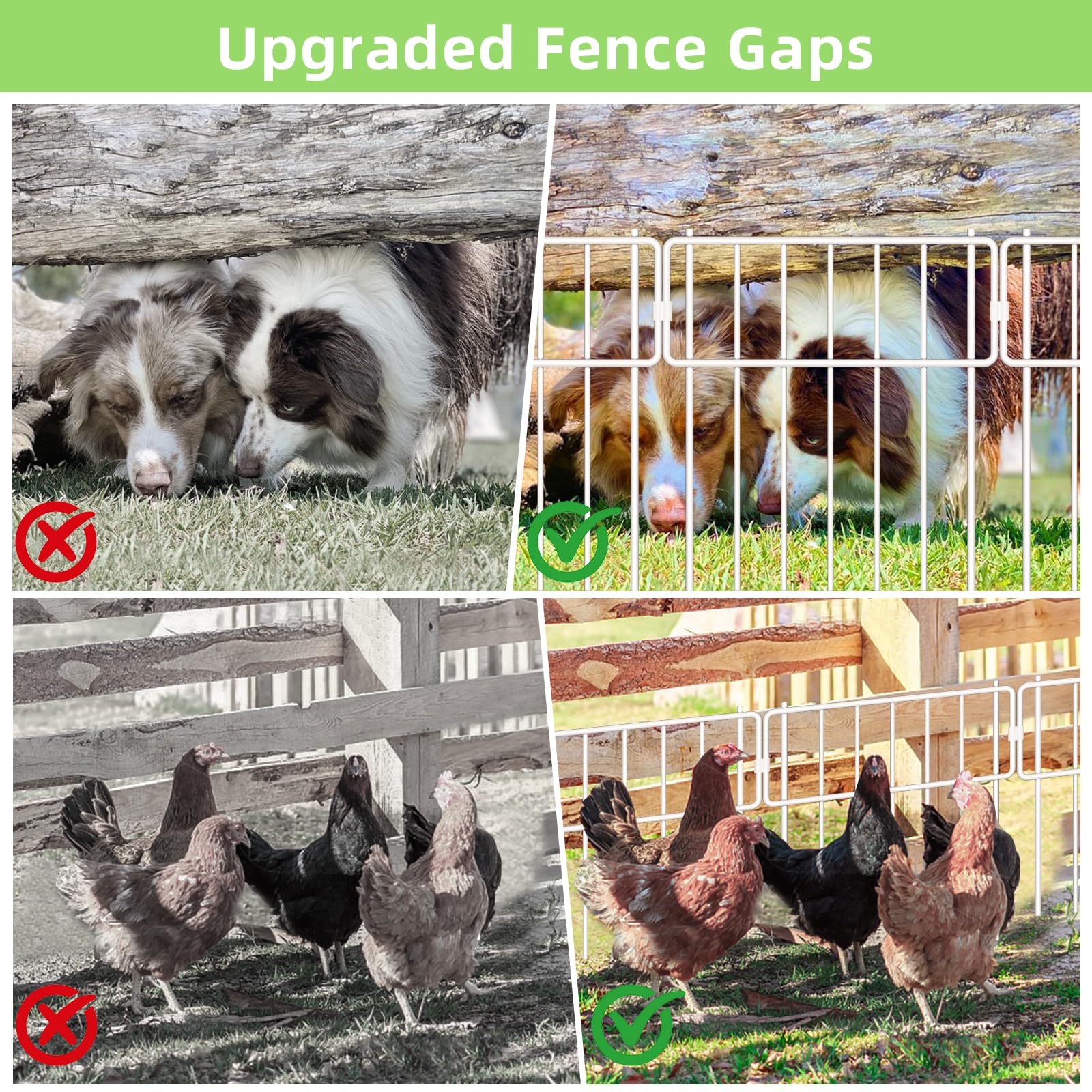Thrivinest rustproof-painted metal fence maintains a clean look in all weather conditions.