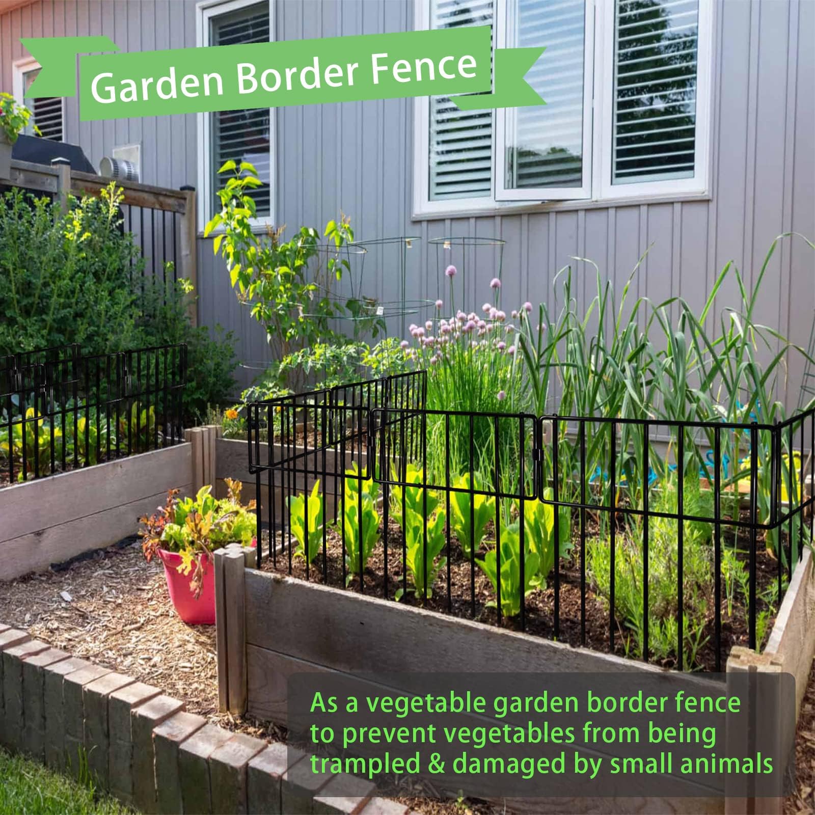 Thrivinest decorative border fence adds garden style while protecting crops.