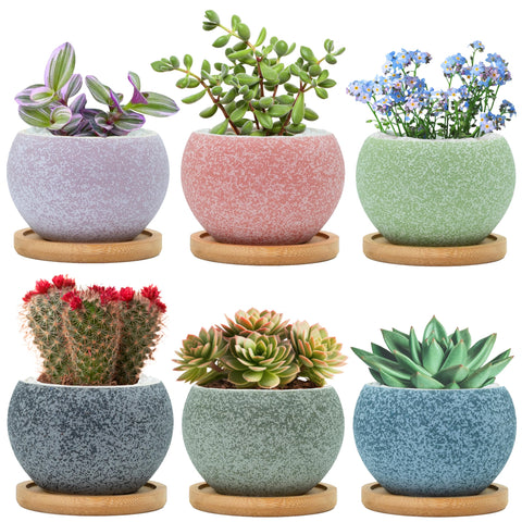 Thriving Thicket 3-inch ceramic pot pack with vibrant colors for indoor succulents.