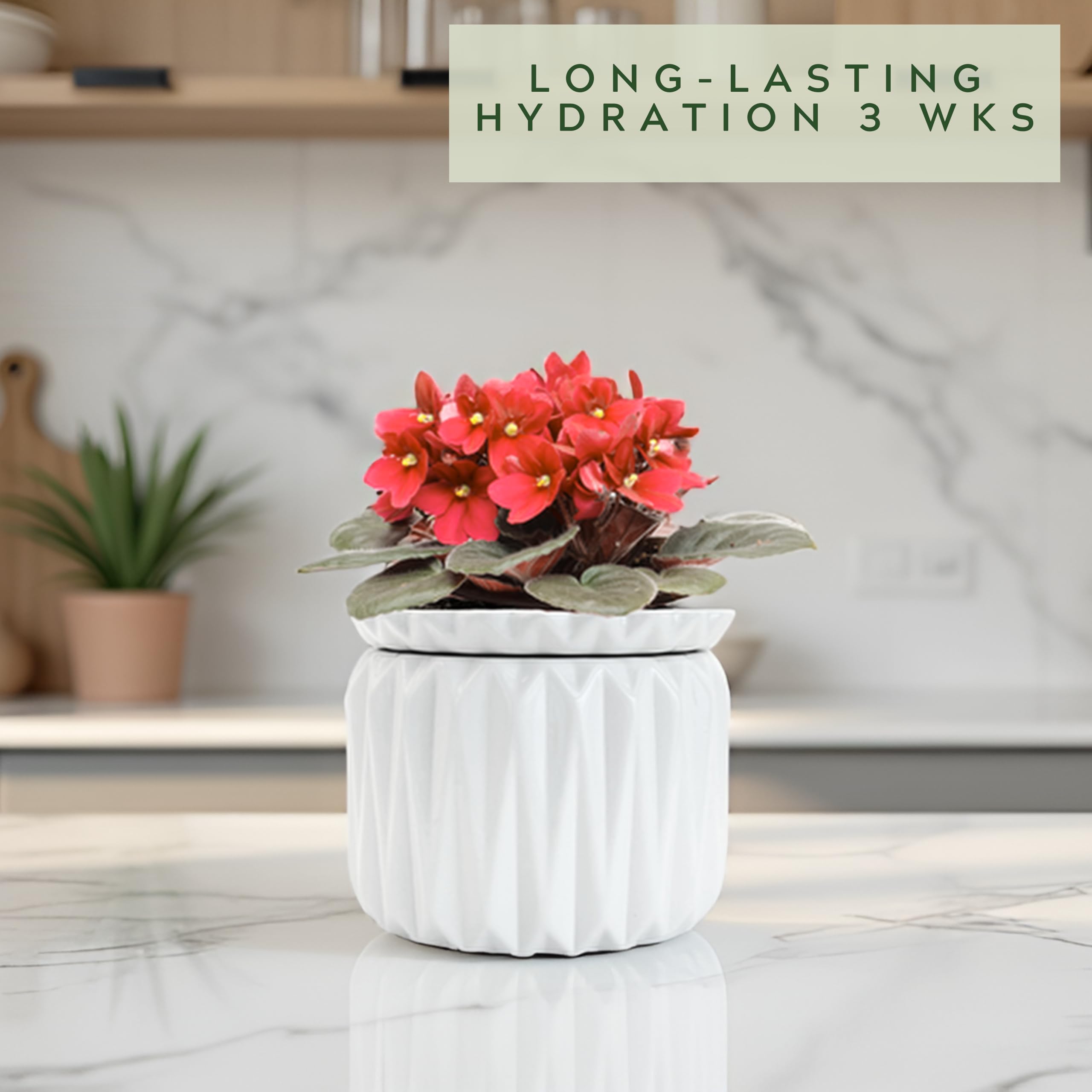 Thriving Thicket 4-inch opening facilitates easy filling and access