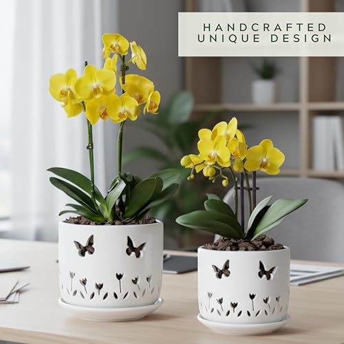 Thriving Thicket 5-inch ceramic orchid pot, ideal for smaller plants and easy repotting.