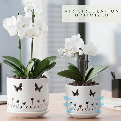 Thriving Thicket 6-inch ceramic orchid pot for growing roots and upgraded drainage.
