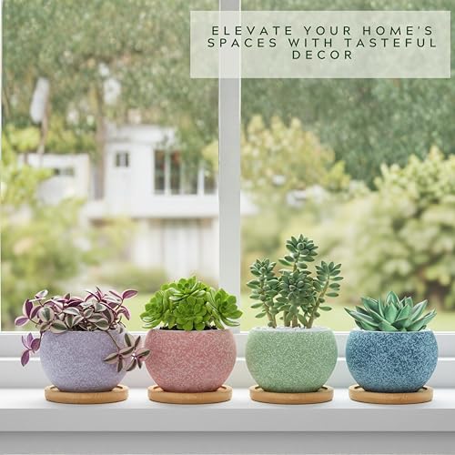 Thriving Thicket color mix adds visual appeal to shelves and windowsills.
