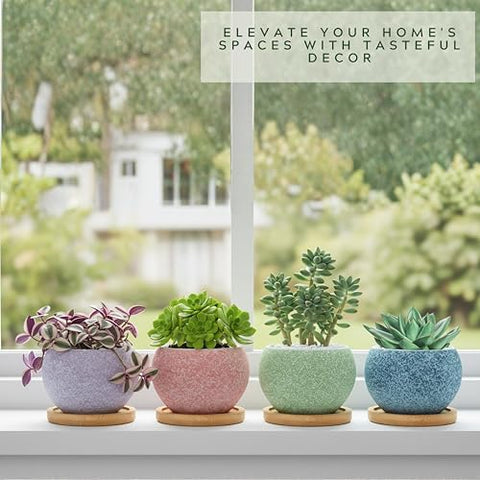 Thriving Thicket color mix adds visual appeal to shelves and windowsills.