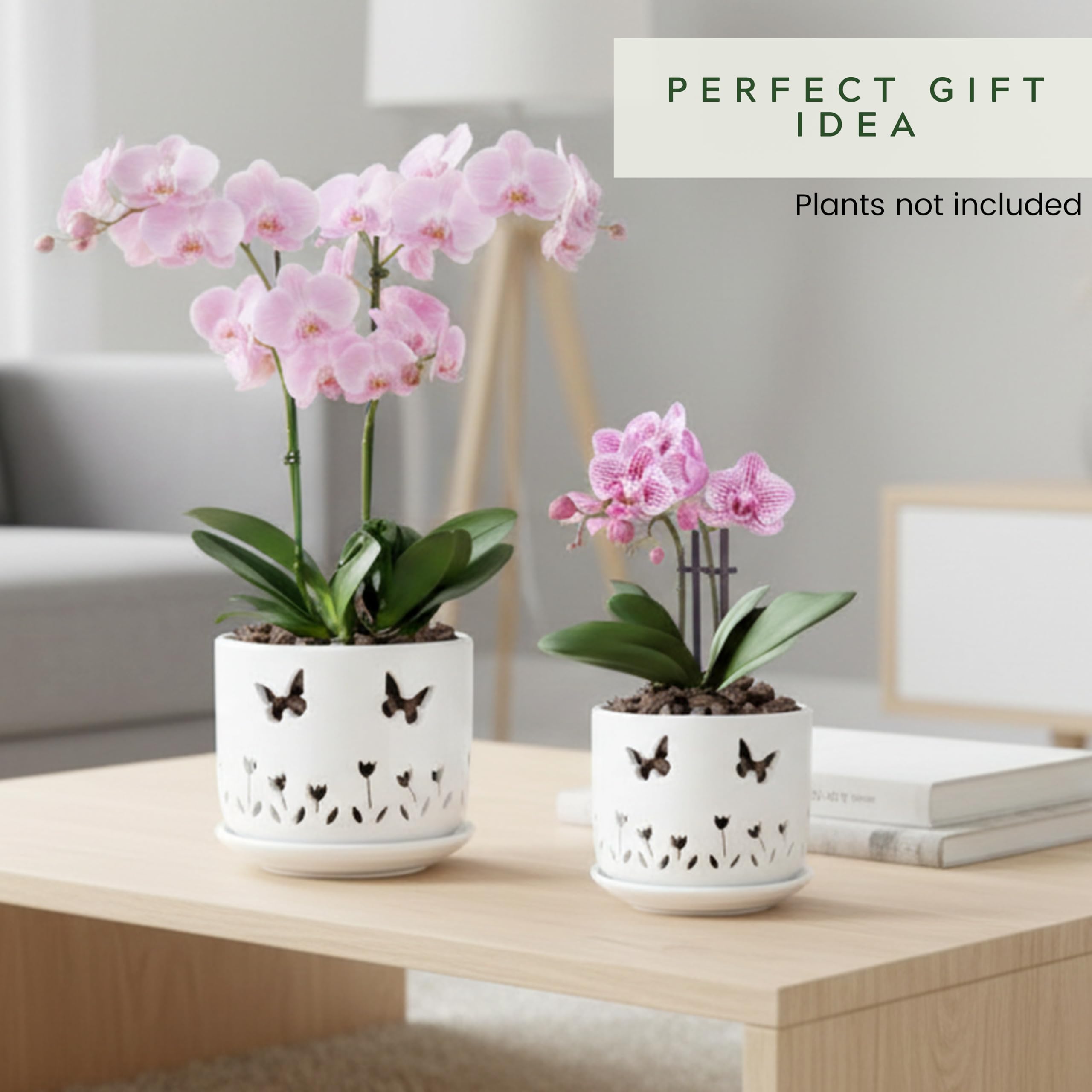 Thriving Thicket decorative cutouts enhance indoor spaces for orchids.