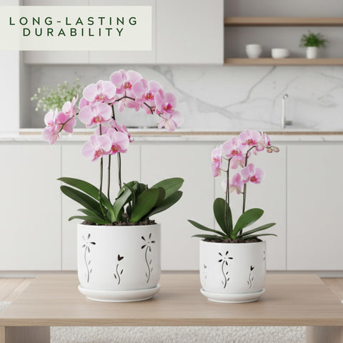 Thriving Thicket two-pack set ideal for repotting orchids indoors.