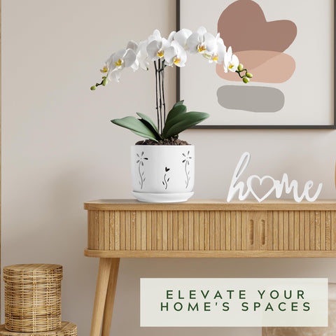 Thriving Thicket gift-ready white decor enhances any room.