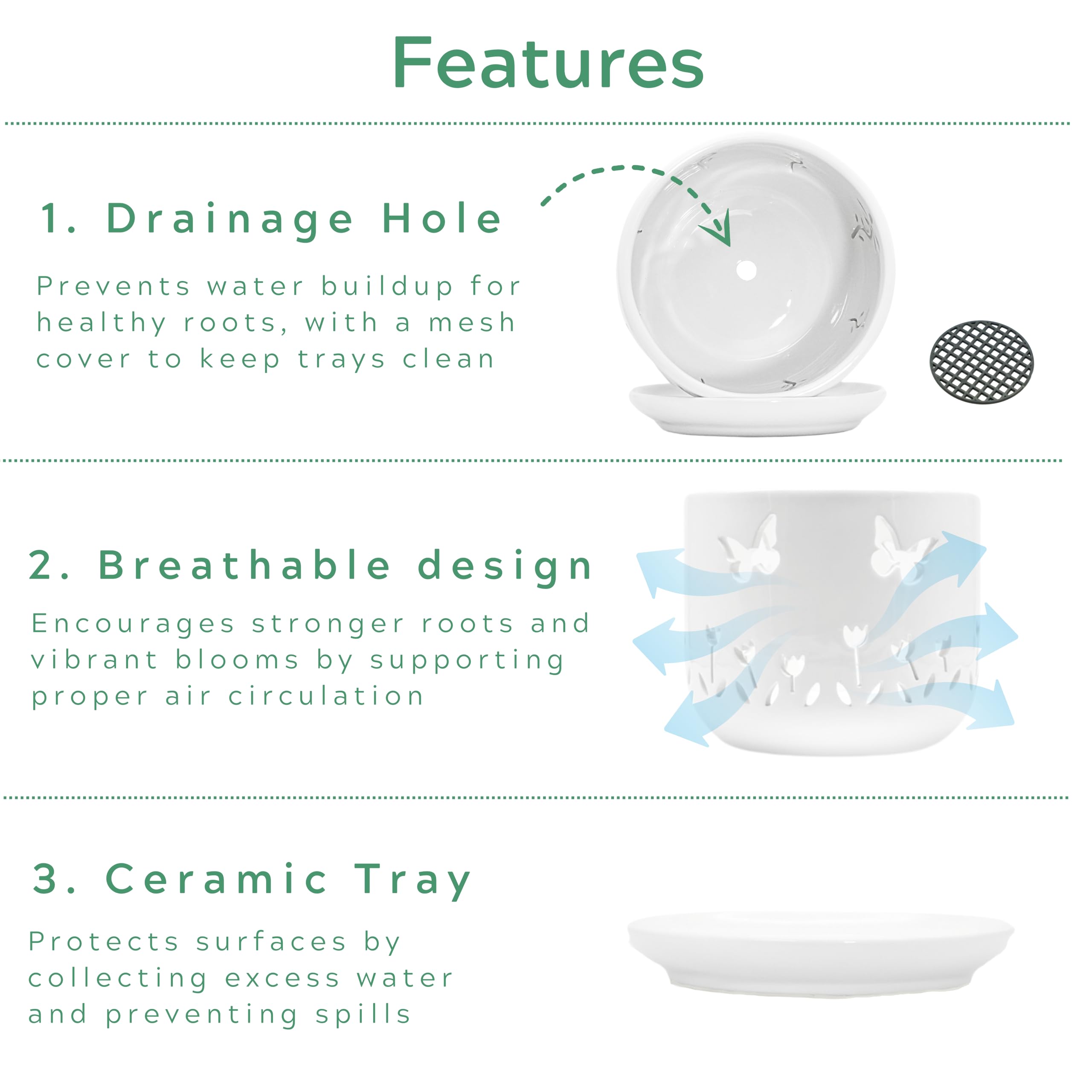 Thriving Thicket matching ceramic saucer catches runoff to protect surfaces.